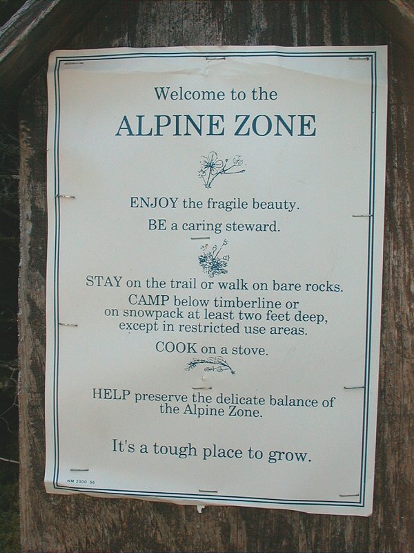 alpinezone2.jpg